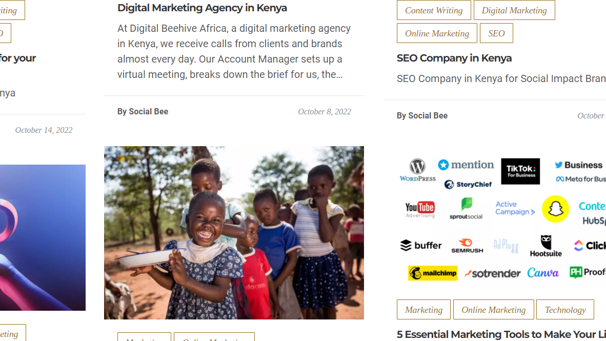 Digital Beehive Africa Blog site. Example of great SEO to boost your online brand.